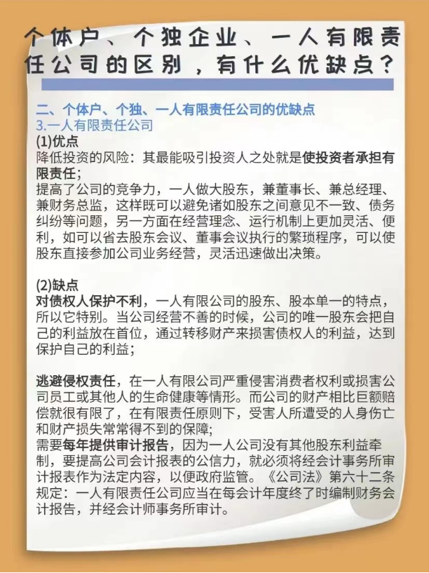 個體戶、個獨企業、一人有限責任公司的區別，有什么優缺點